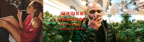 спиды Лиски
